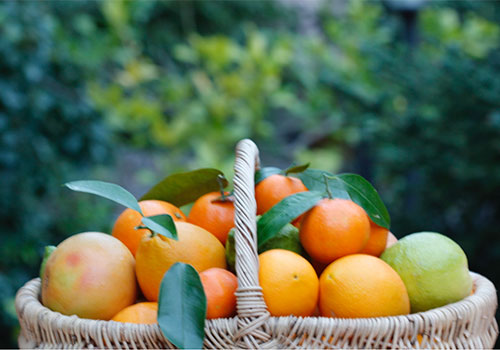 gran variedad naranjas castellon